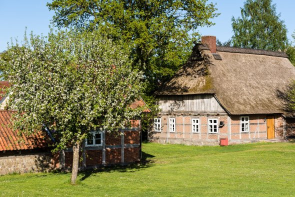 Brinkhaus