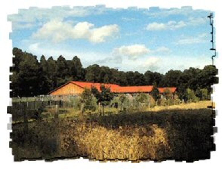tierheim